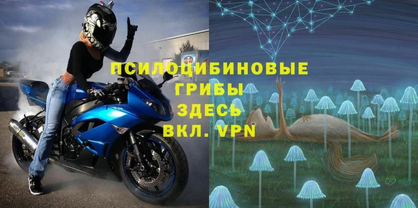 кокс Ельня
