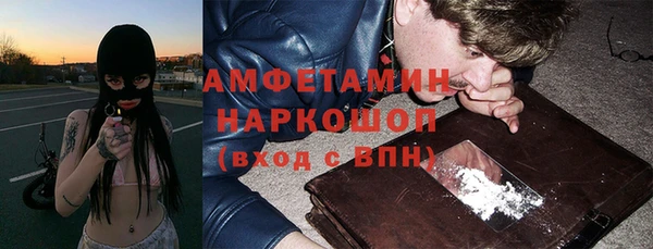кокс Ельня