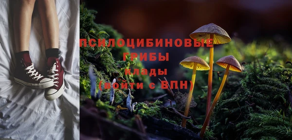apvp Заволжск